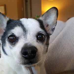 Meet your Posher, Sue